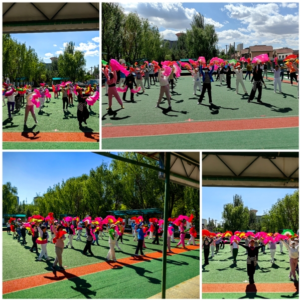 Collage_20230614_212044.jpg